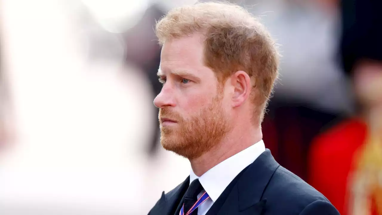 Royals have &#8216;never had the opportunity&#8217; to tell their story like Prince Harry