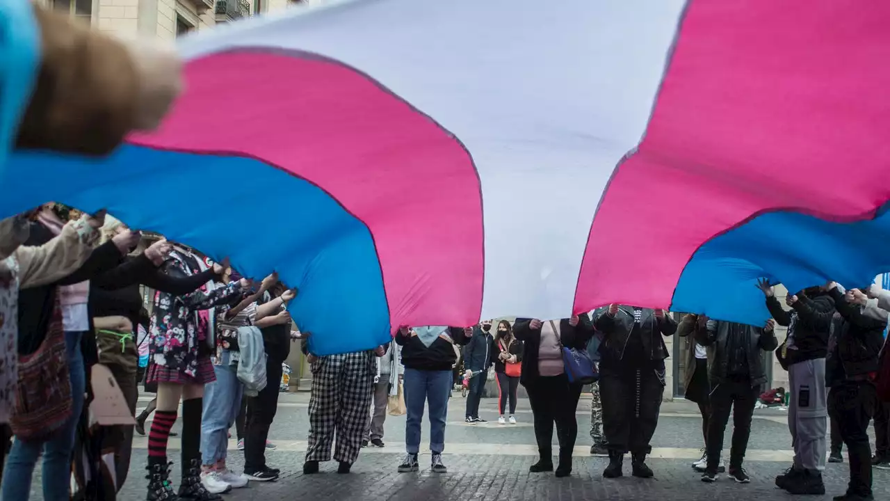 Trans Flag: Everything You Need to Know About the Colors and Its History