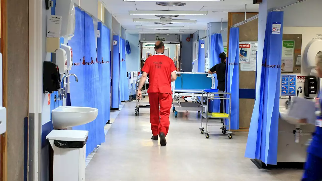 'Shockingly' high emergency treatment delays mean deaths will continue to surge, medics warns