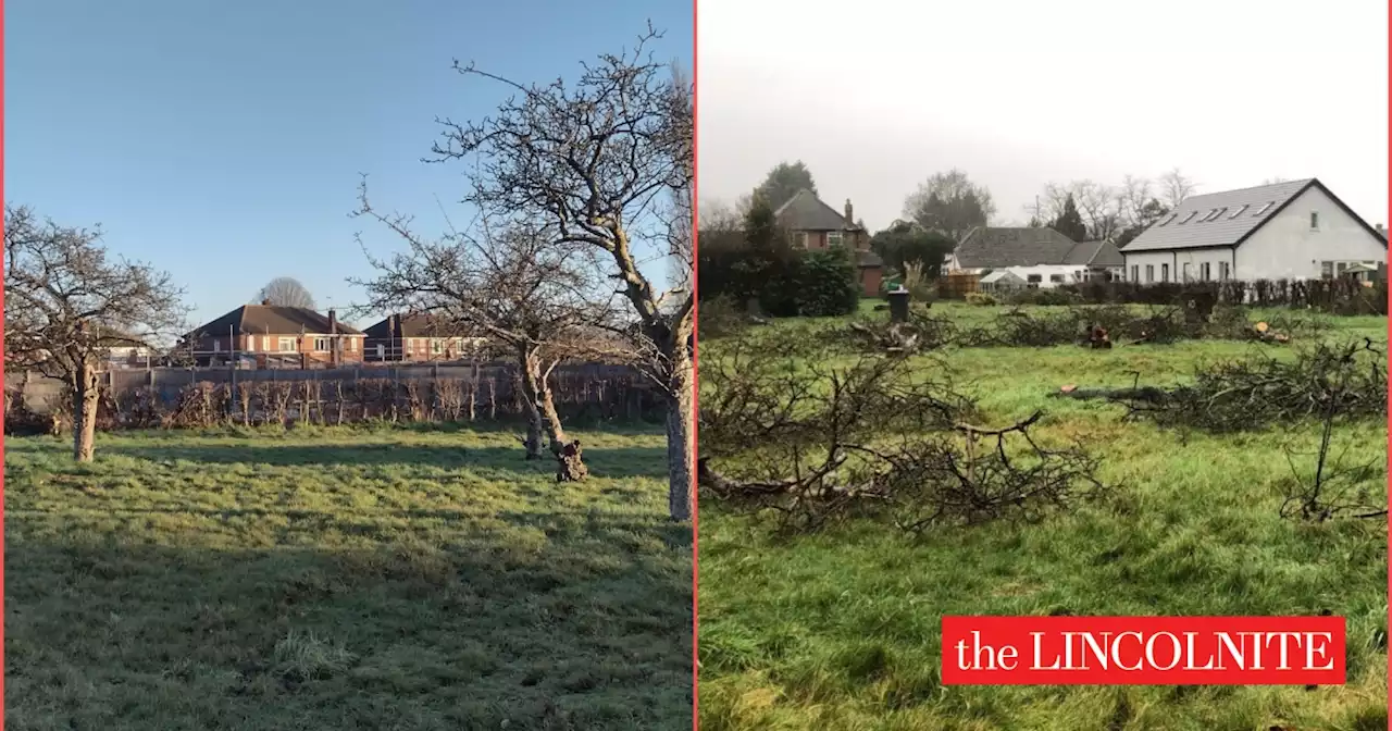 North Hykeham residents 'devastated' after developer cuts down orchard in housing bid