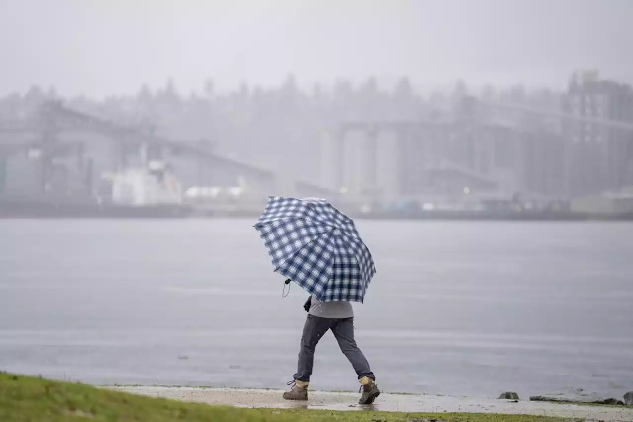 Flurry of weather warnings for B.C. south coast, with up to 120 mm of rain forecast