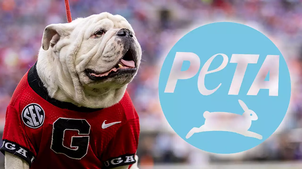 PETA Urges Georgia Bulldogs To Retire 'Uga' Live Mascot