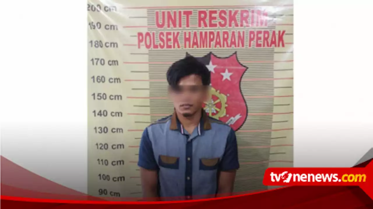 Sembunyi Dalam Sumur, Pencuri Kucing Anggora Ditangkap Polisi