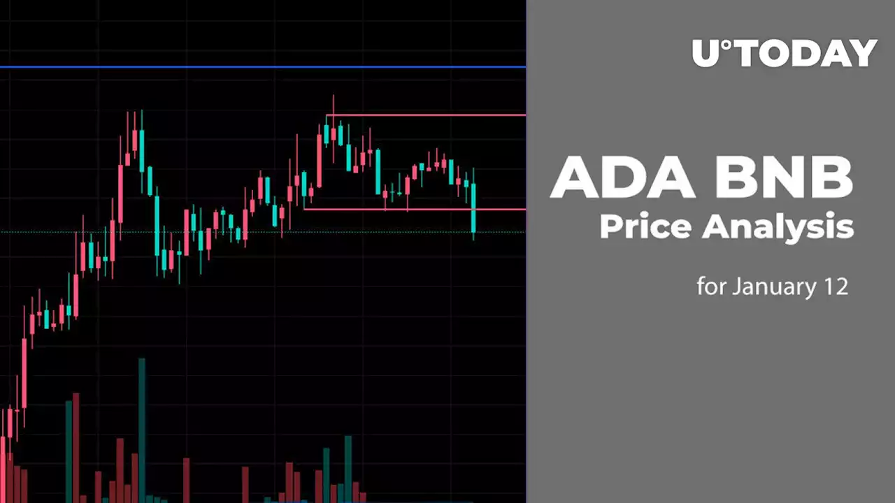 ADA and BNB Price Analysis for January 12