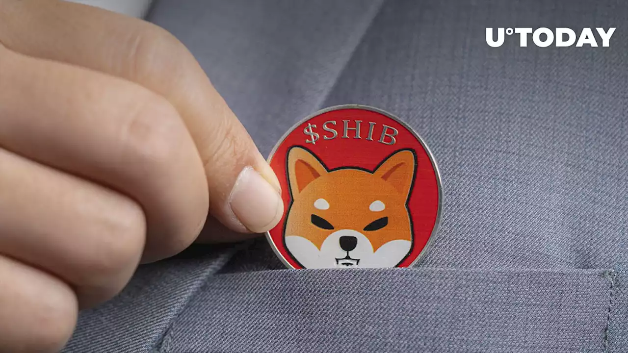 Shiba Inu Sustains Surprising Trend in Holder Base, Here's Why It's Significant