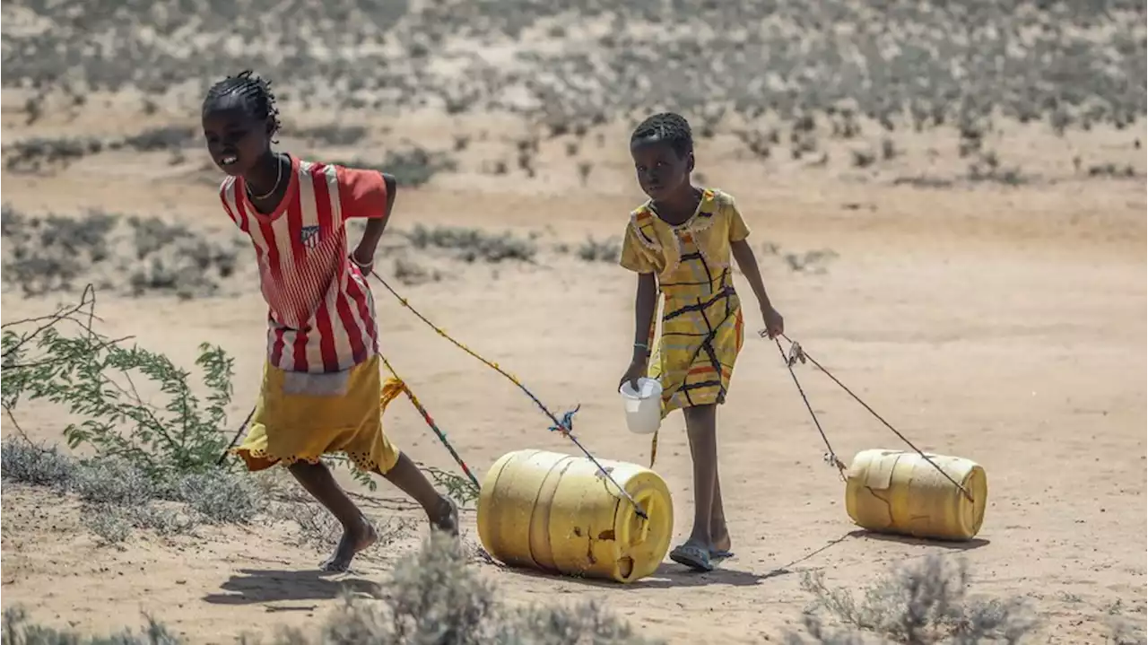 Bericht enthüllt: Zahlreiche blinde Flecken bei humanitären Krisen – vor allem in Afrika