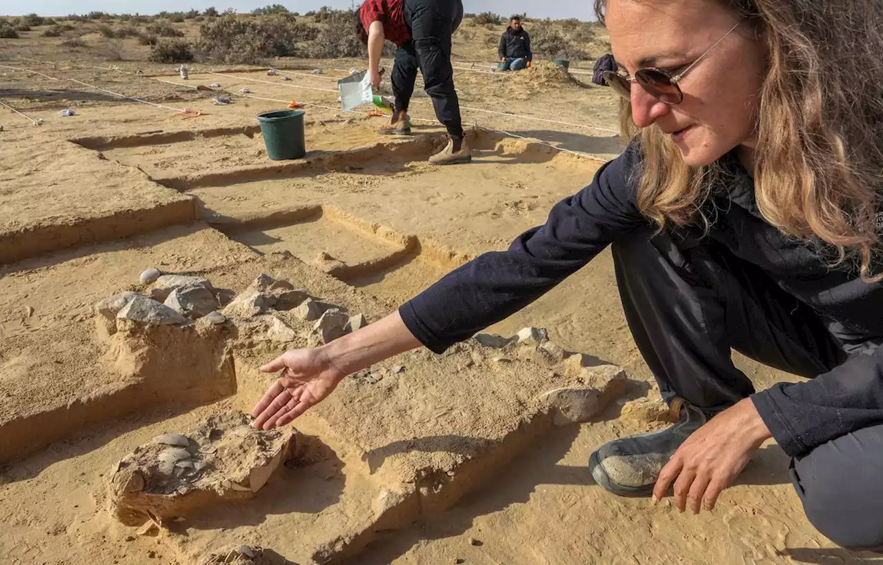 Des œufs d’autruche vieux de plus de 4.000 ans découverts en Israël