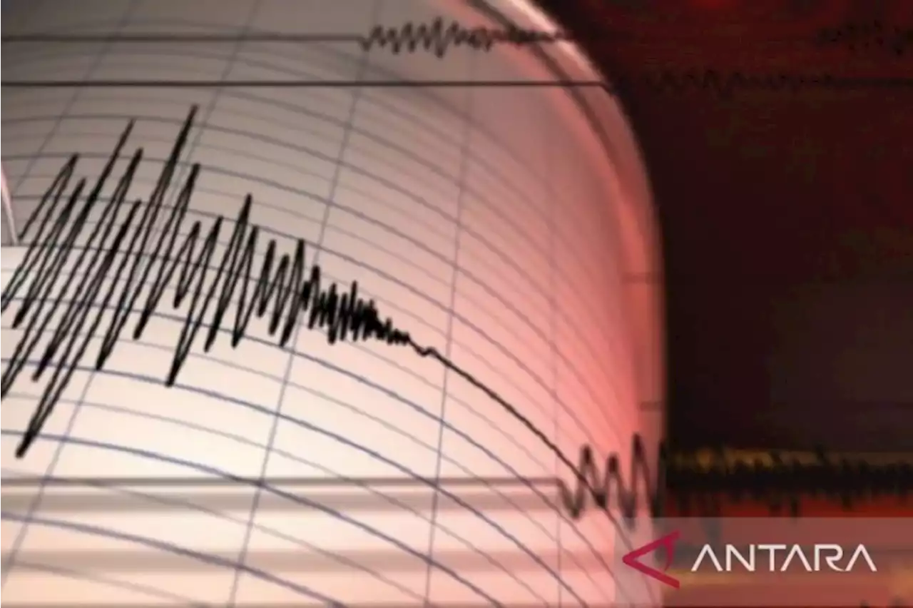 BMKG: Gempa magnitudo 5 Papua Pegunungan tidak berpotensi tsunami