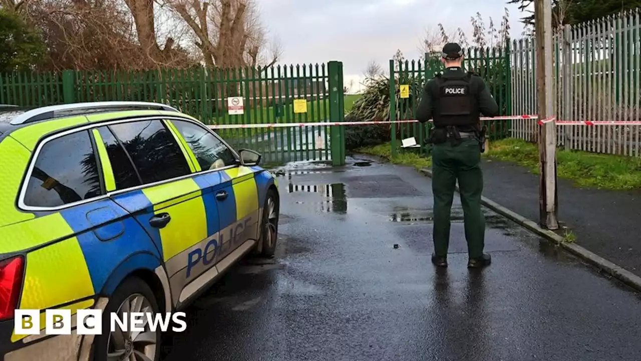 Lord Lurgan Park: Man, 29, arrested after body found