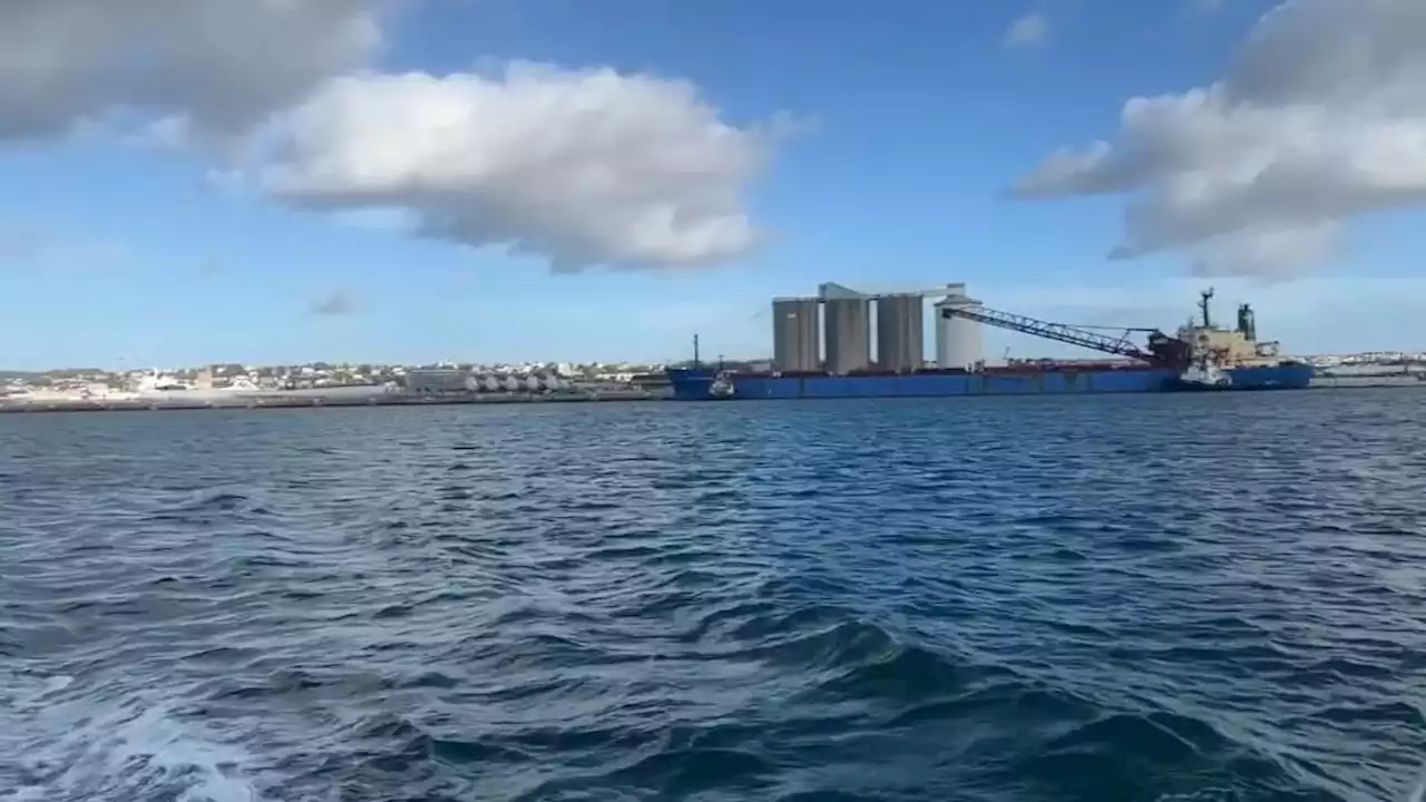 Projet de port méthanier flottant au Havre: deux référés de EELV examinés par le tribunal