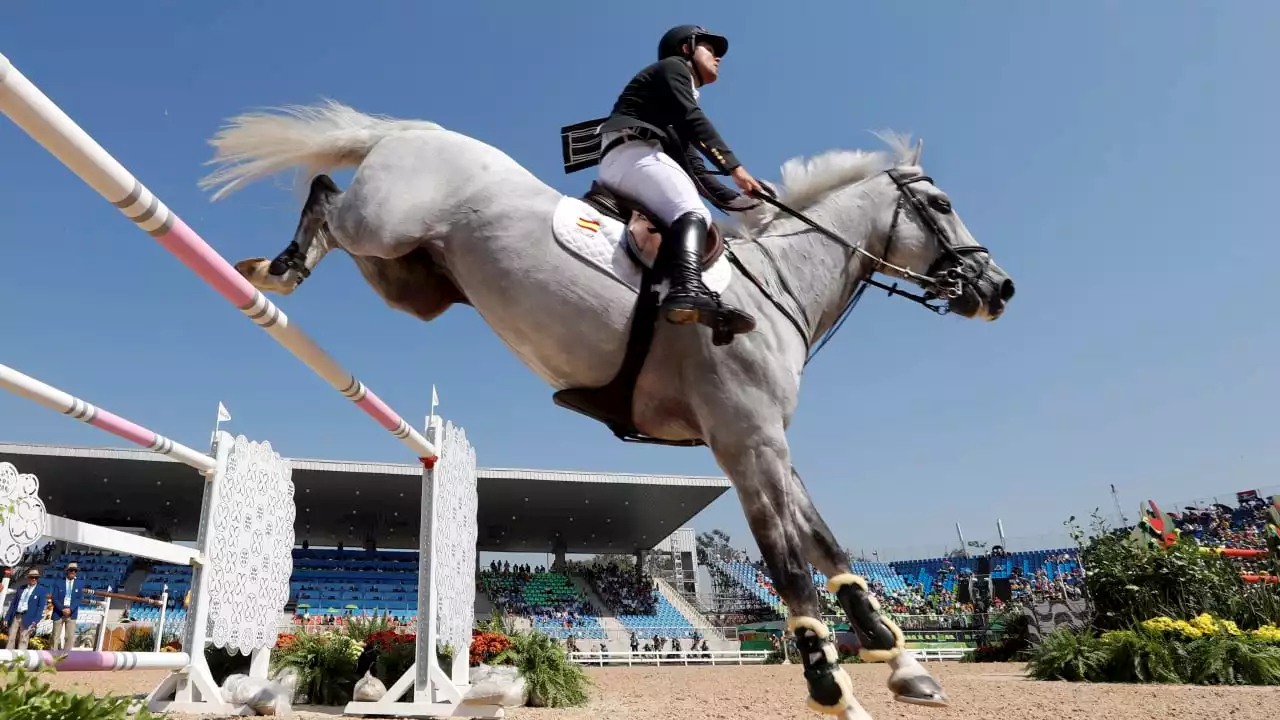 Reiten: China klont erstes Pferd für den Sport: Die Gene kommen aus Deutschland