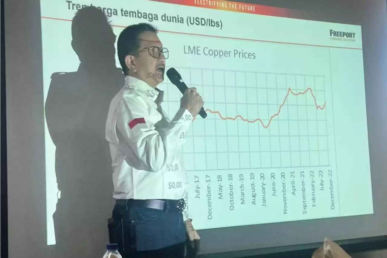 Hingga Akhir 2022, Progres Smelter Freeport Lampaui Target 50 Persen