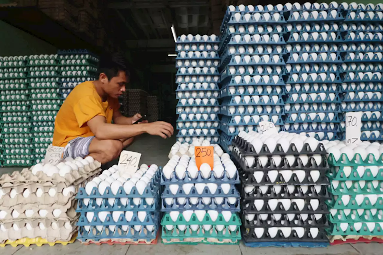 ‘Unjustified’ mark-up cited for retail egg prices uptick | Jasper Y. Arcalas