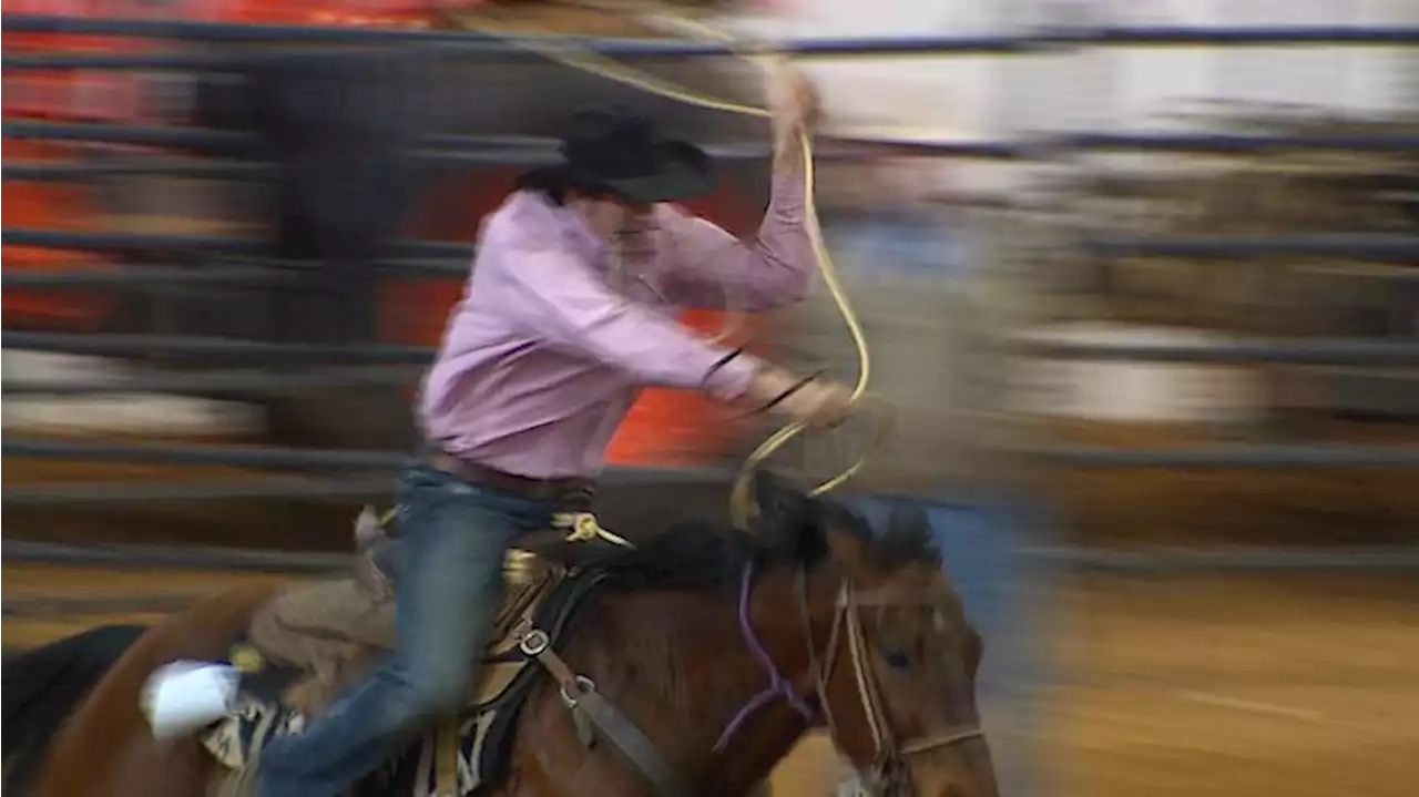 What you need to know about the Fort Worth Stock Show & Rodeo