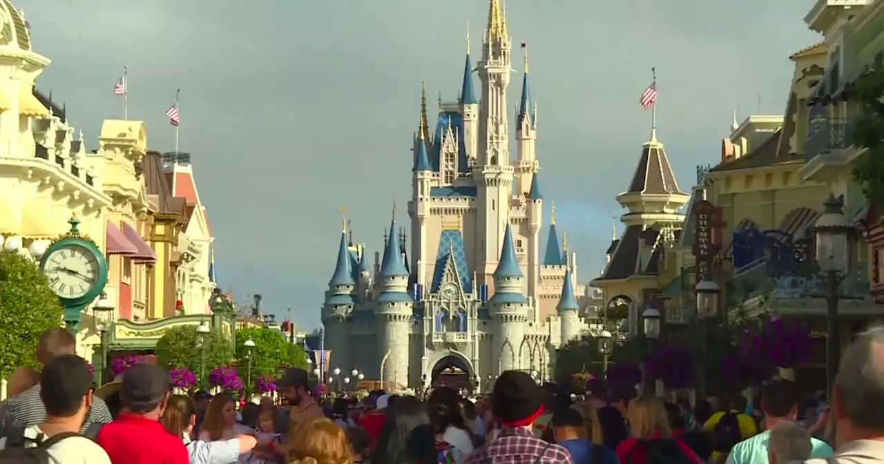 Theme parks are back and hoping to take advantage of renewed interest