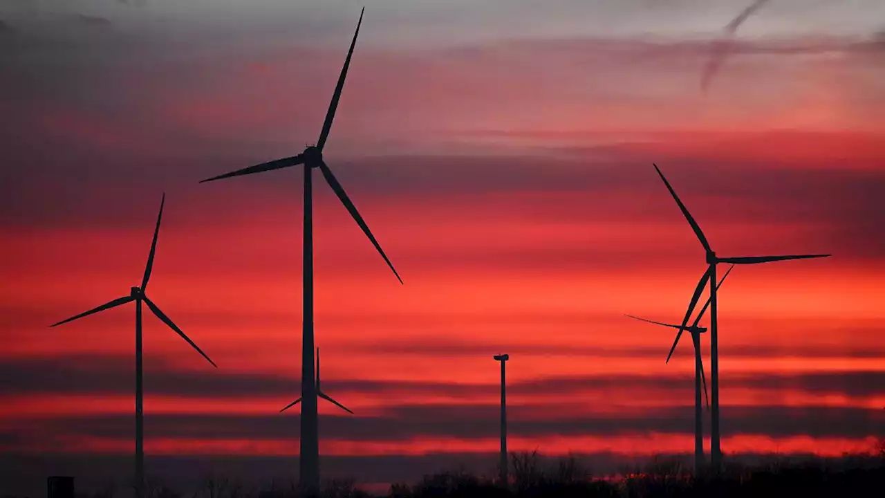 Ausbau der Windkraft stockt unter Ampel