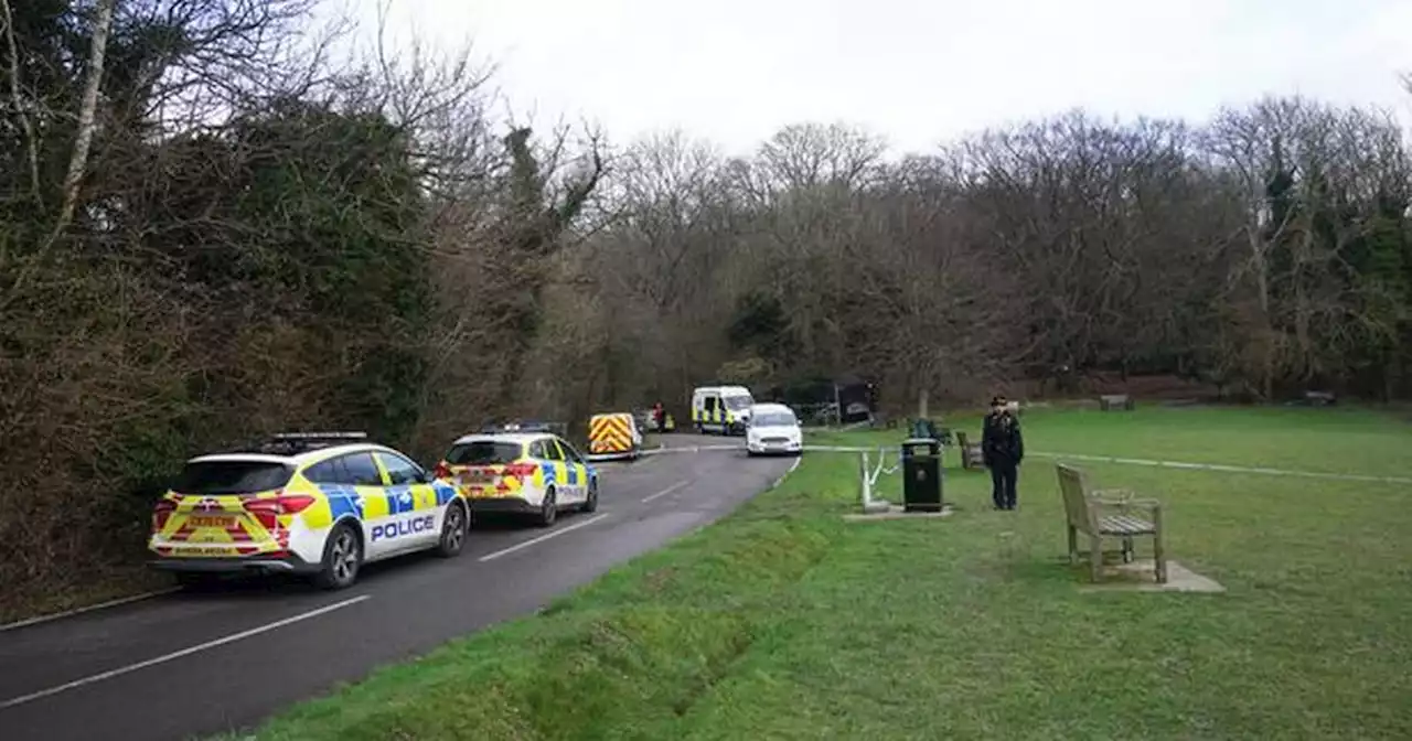 Dog walker identified as woman killed in brutal attack as eight canines seized