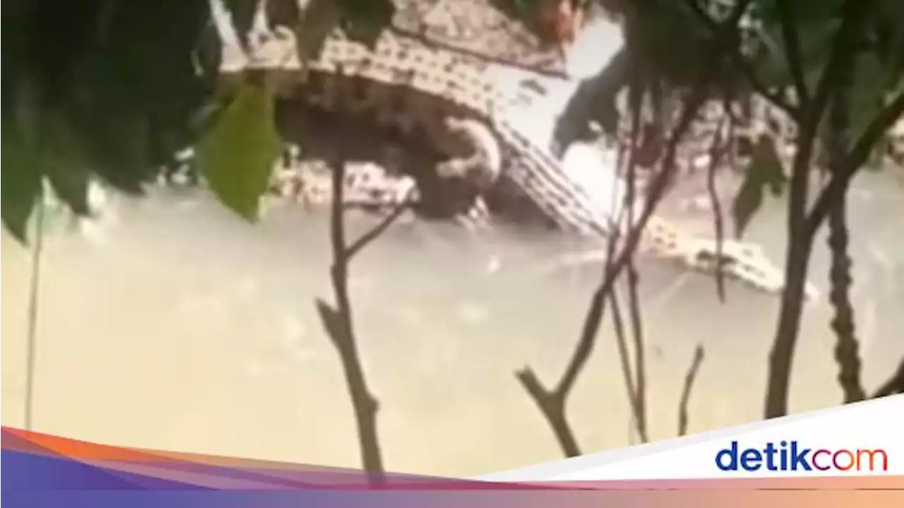 Pemuda di Mamuju Tengah Diterkam Buaya saat Memancing Ikan Malam Hari