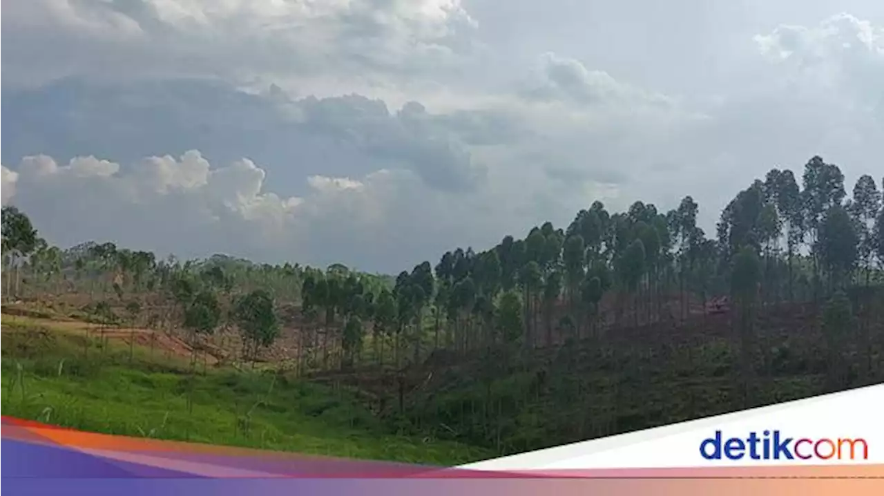 Lokasi Istana Presiden di IKN yang Mulai Dibangun Akhir Januari