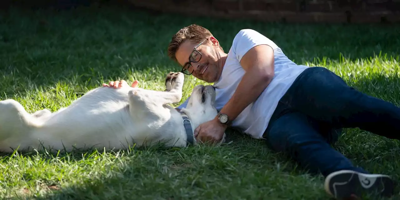 Rob Lowe's Netflix movie Dog Gone is a true story, but does the dog survive?