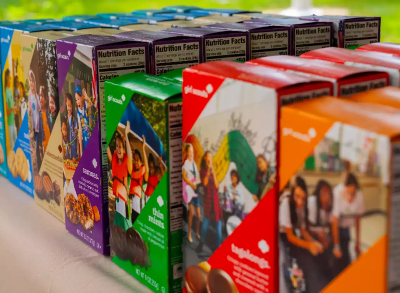 The Newest Girl Scout Cookie Is Being Compared To Thin Mints