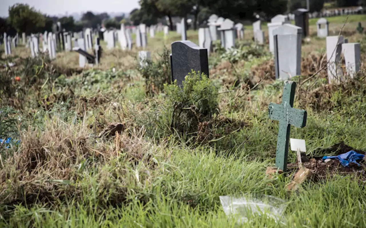 Tshwane graves not dug cause contractors not paid, says Safpa