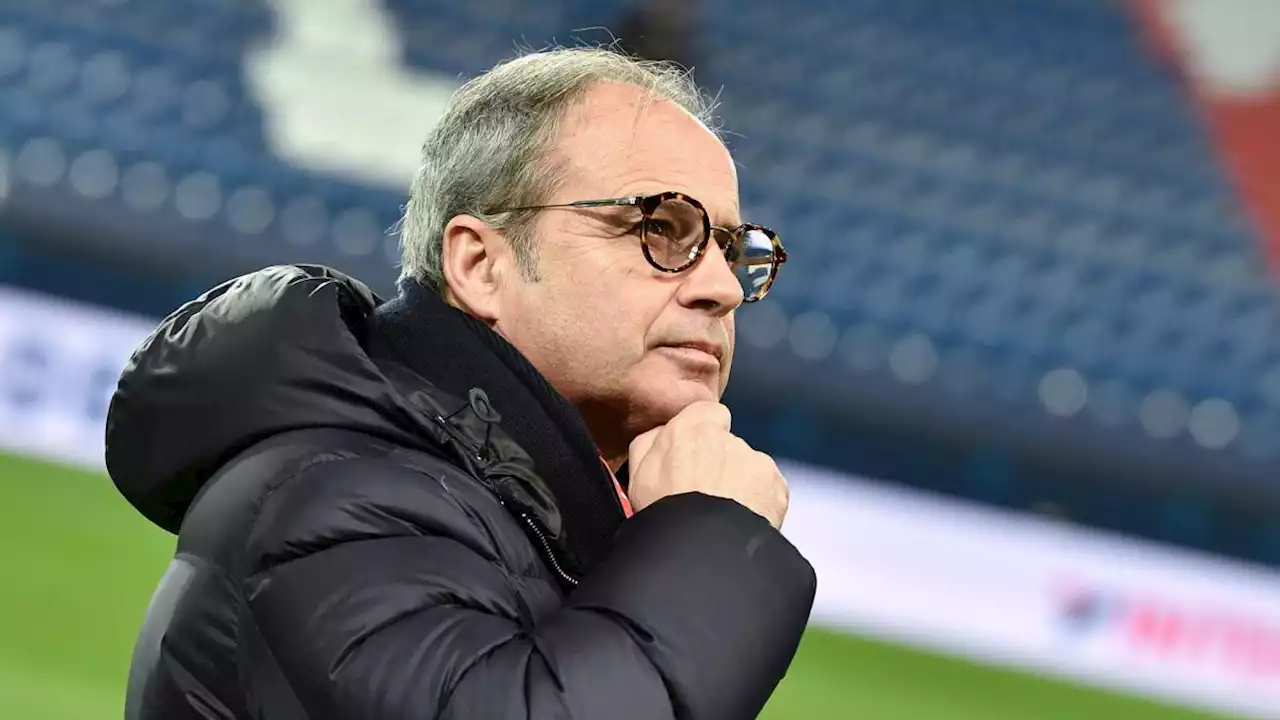 PSG : Luis Campos a déniché une recrue pas comme les autres