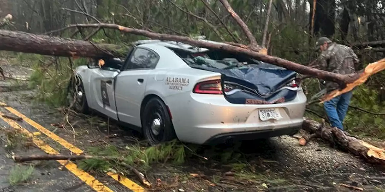 Trooper recovering after tree falls on patrol vehicle during storms