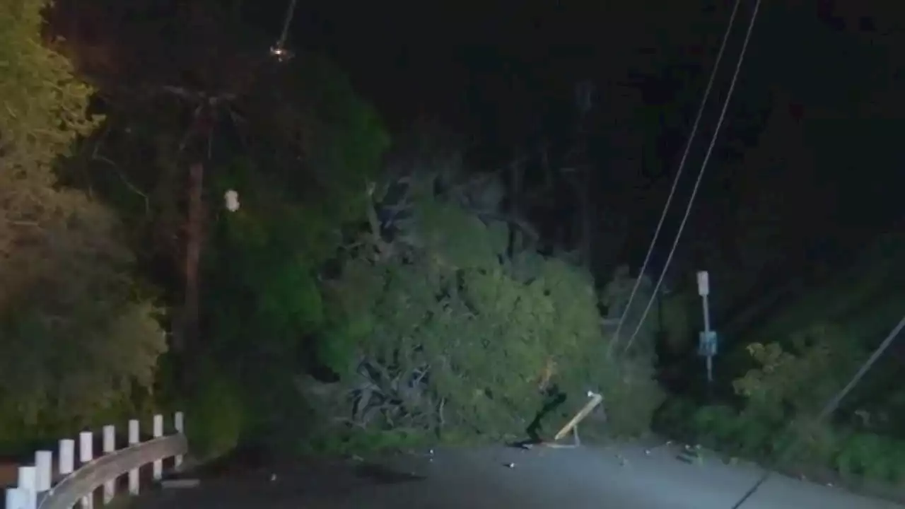 SoCal crews still clearing roads, restoring power from downed trees as another storm moves in