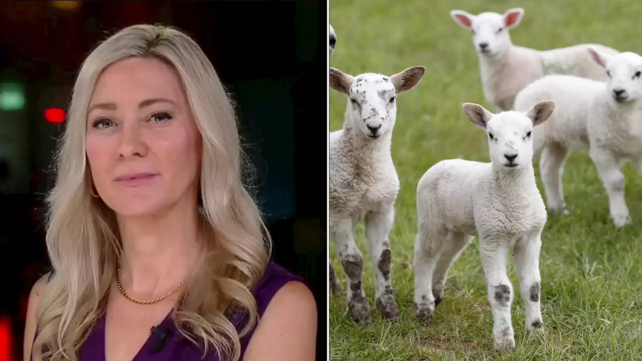 Animal sacrifice 'should be a thing of the past': PETA spokesperson criticizes Michigan city's ruling