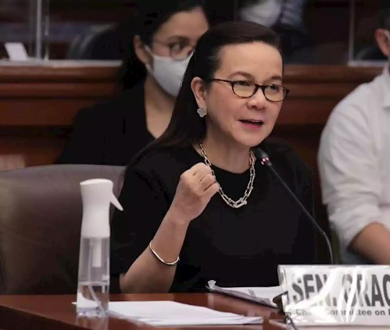 Senate panel to dig deeper into PH airspace shutdown —Poe