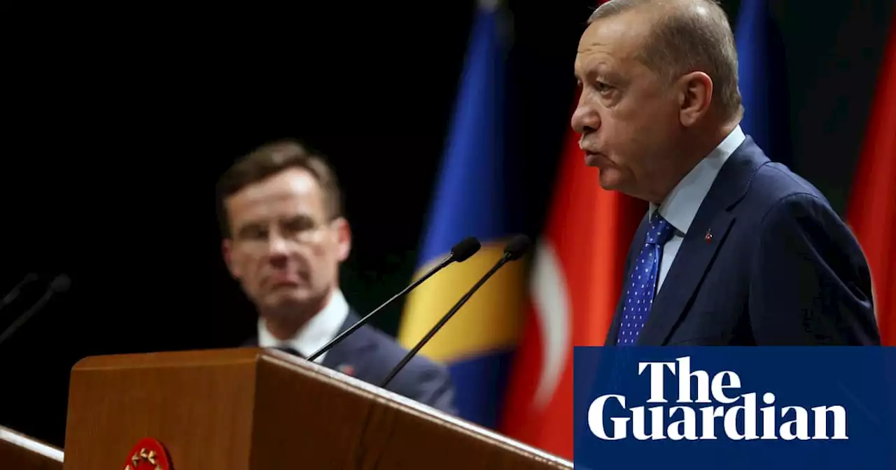 Turkey summons Swedish ambassador over Erdoğan effigy