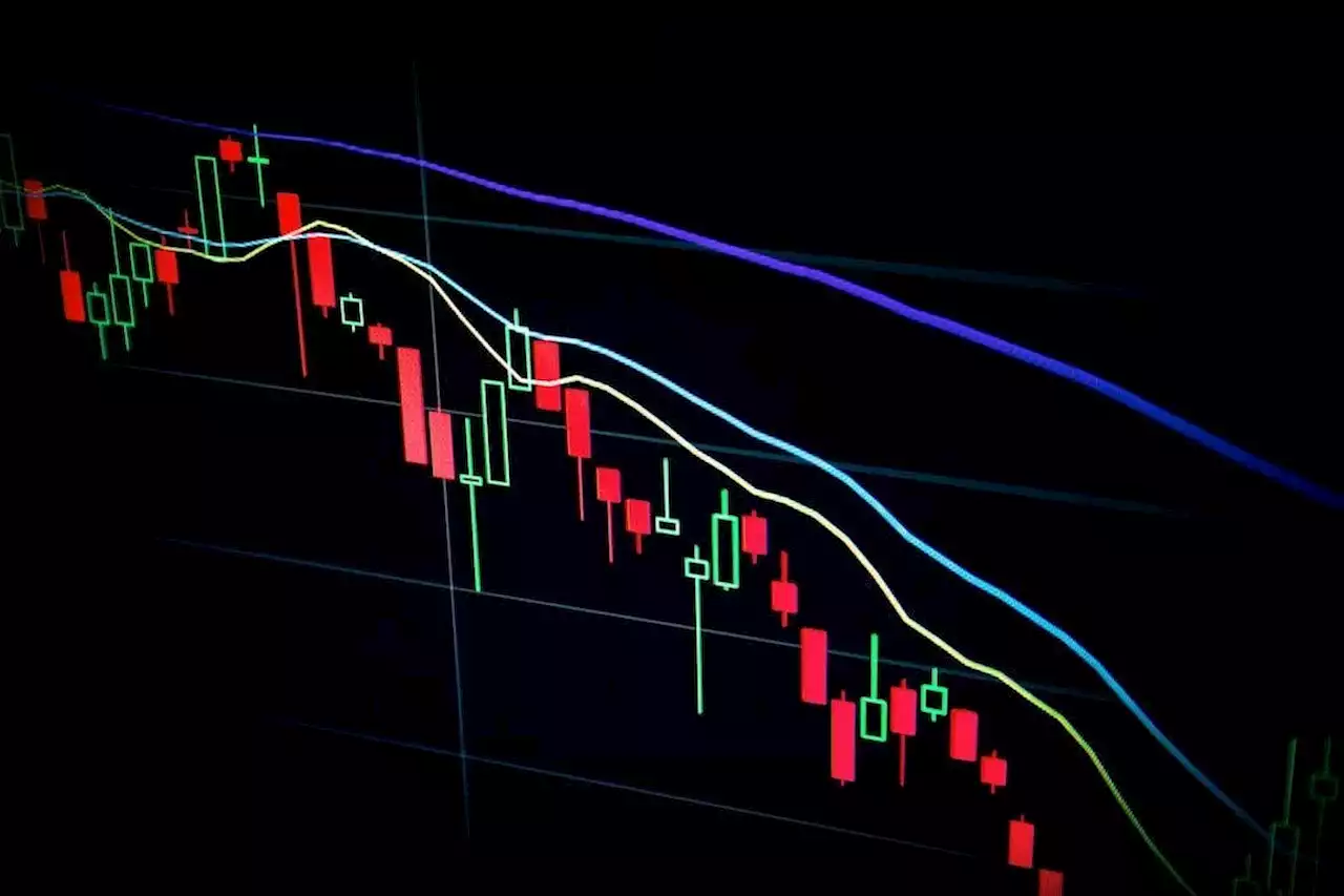 How to Successfully Navigate a Crypto Bear Market | HackerNoon