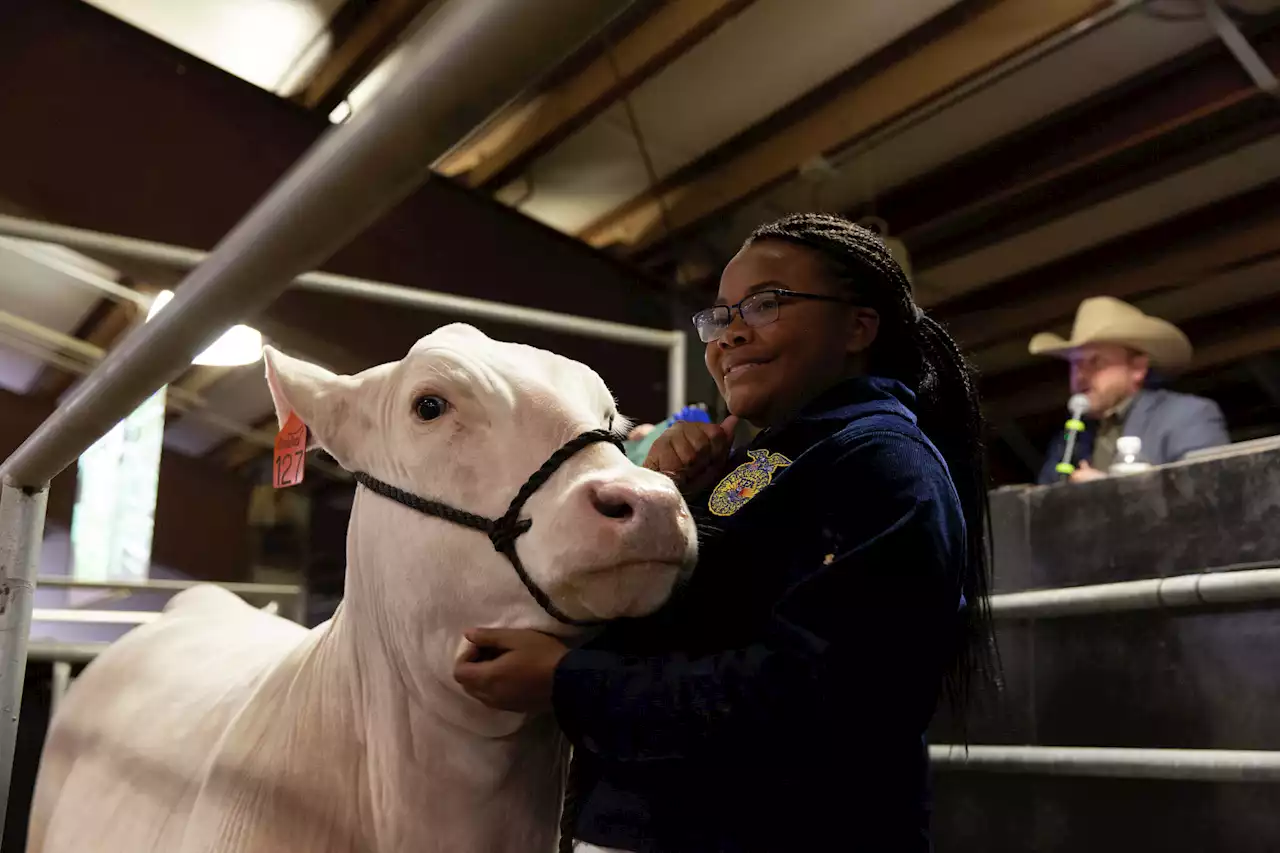 2023 CCISD Livestock Show and Rodeo preview: What to expect