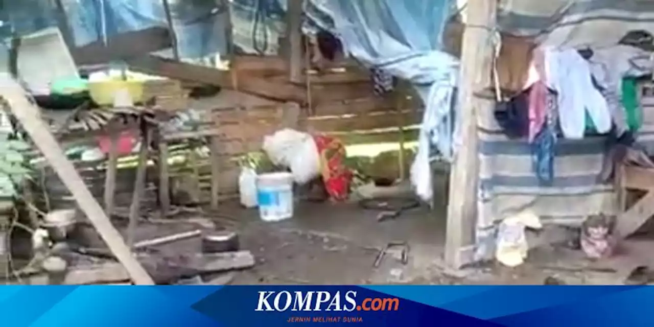 Cerita Pilu Ibu dan 2 Anaknya di Mamuju Tinggal di Rumah Reyot Selama 10 Tahun