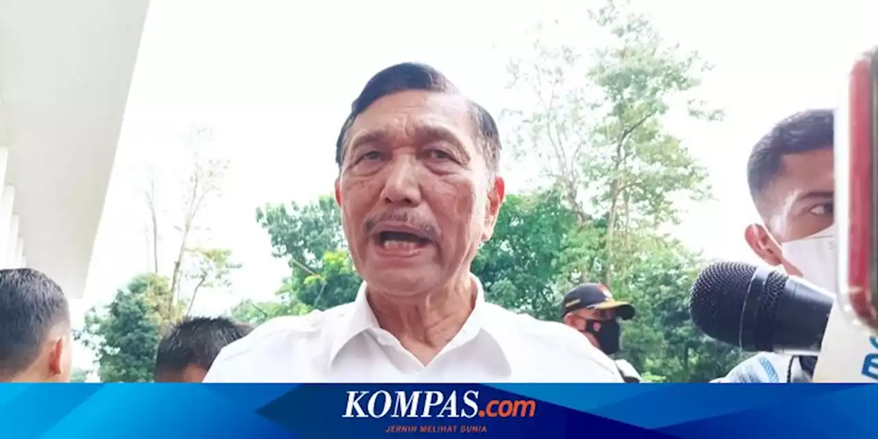 Soal Kerja Sama dengan Tesla, Luhut: Mereka Berminat, Kita Berminat