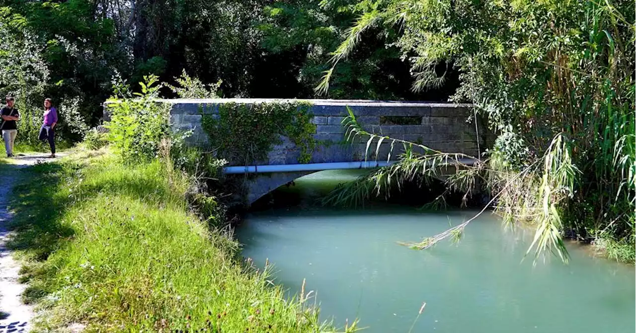 Le canal de Carpentras cherche 100 représentants