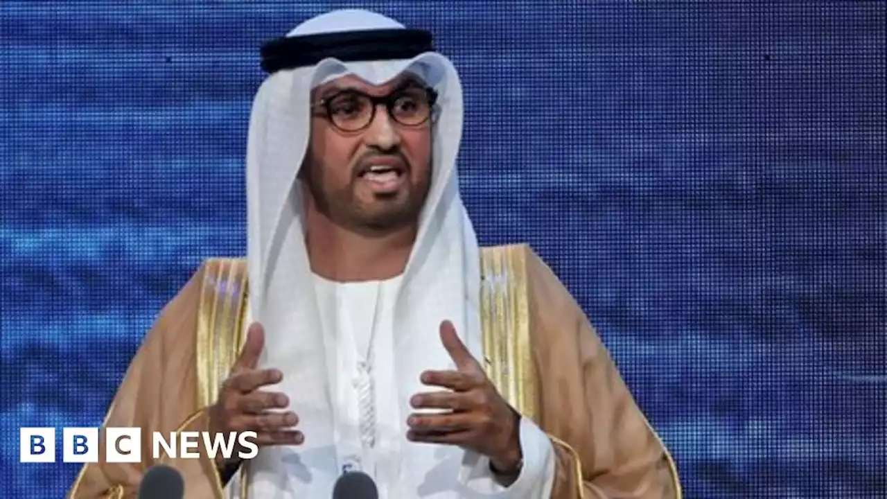 Climate change: UAE names oil chief to lead COP28 talks