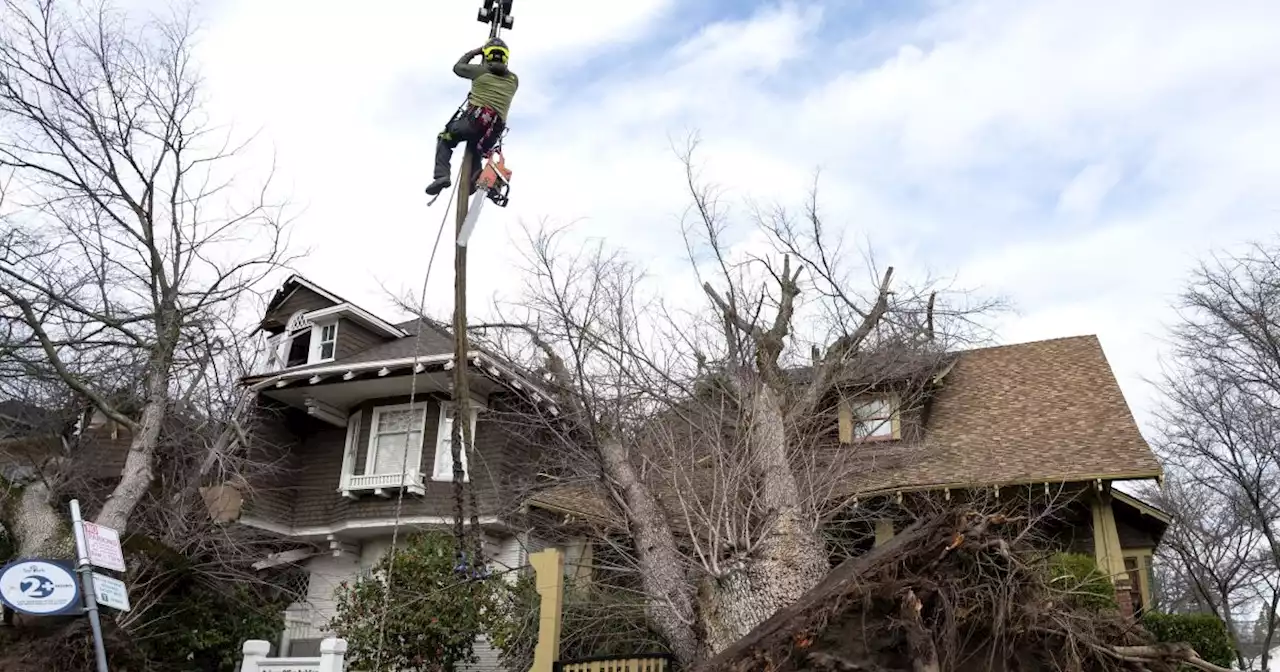 A storm-lashed tree damages your home or car — who’s going to pay for that?