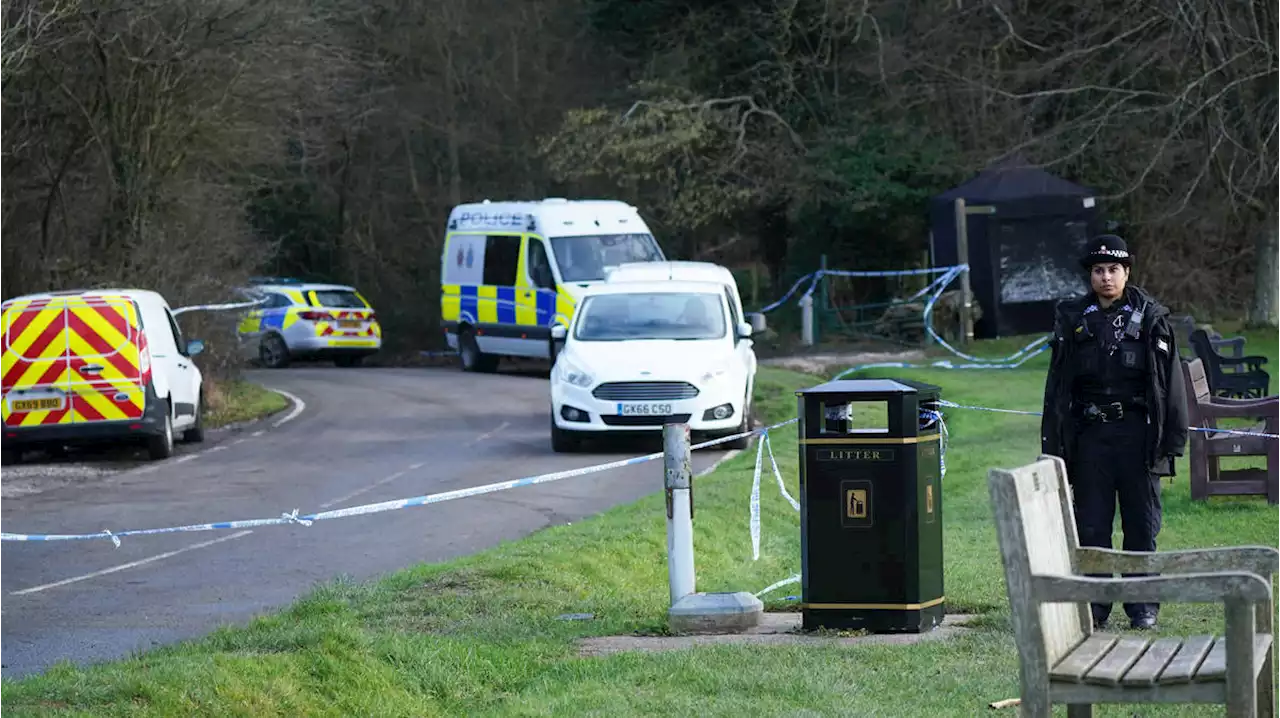 Dog ‘chasing horses and riders’ mauls woman in her 20s to death as police seal off country lane in Surrey