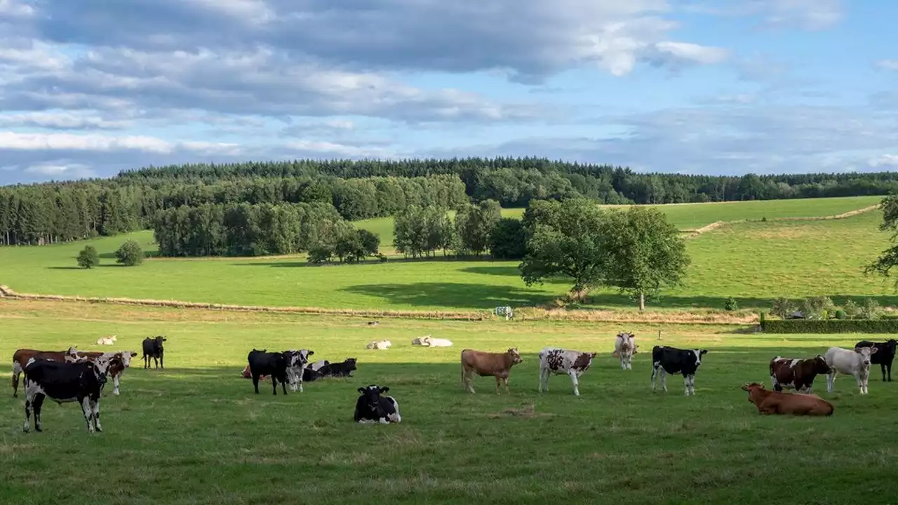 Agriculture : la nouvelle PAC en cinq questions