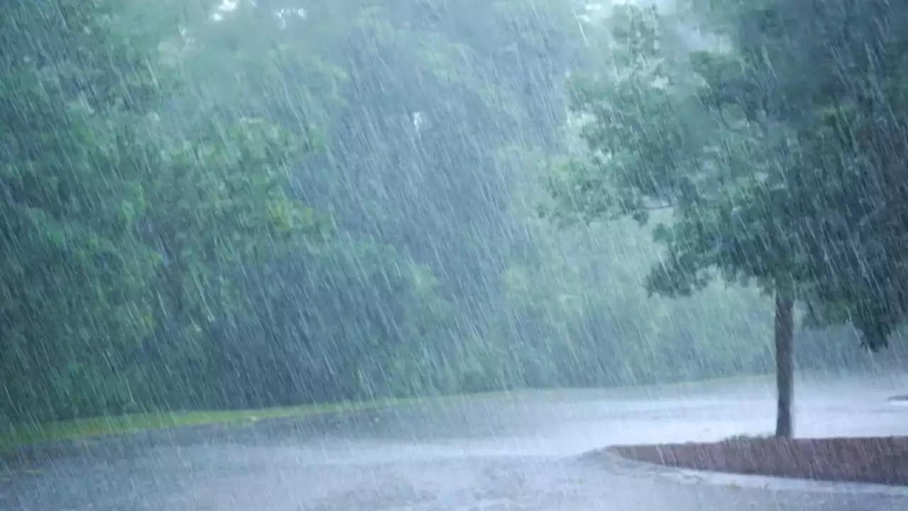 Les nappes phréatiques toujours trop basses en France malgré la pluie