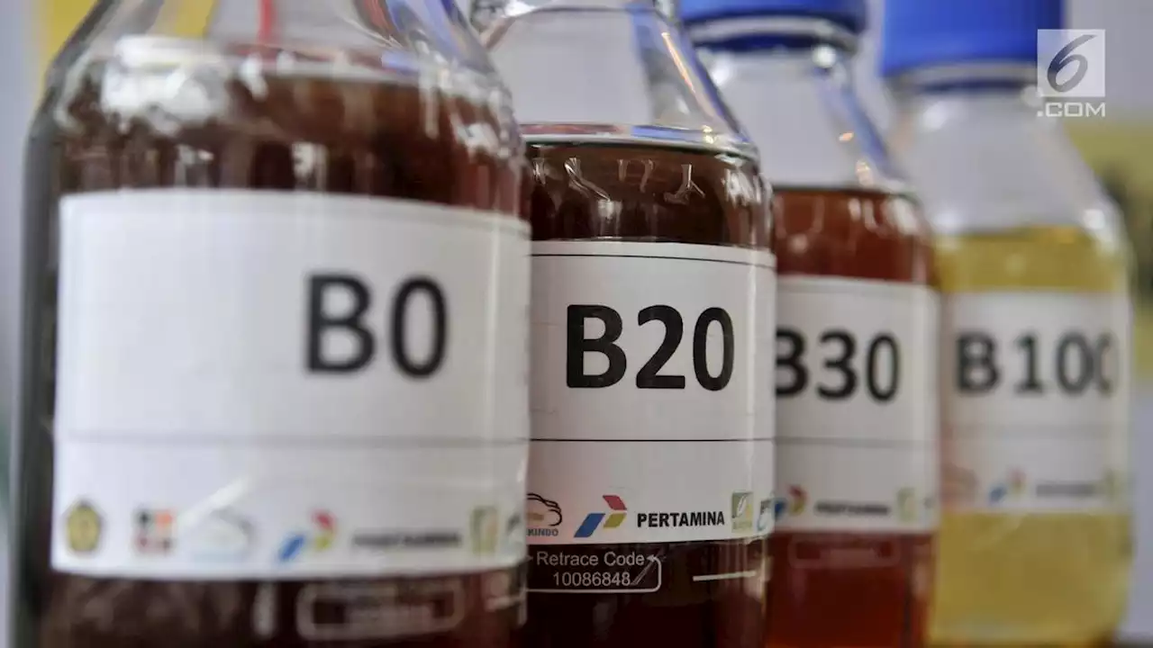 Biodiesel B35 Mulai Disebar Pekan Depan