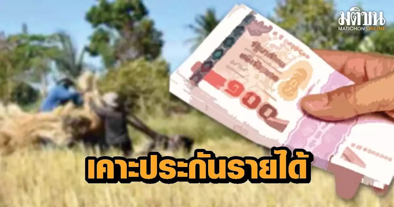 พาณิชย์ เคาะประกันรายได้ข้าว งวดที่ 14 ราคาดีต่อเนื่อง