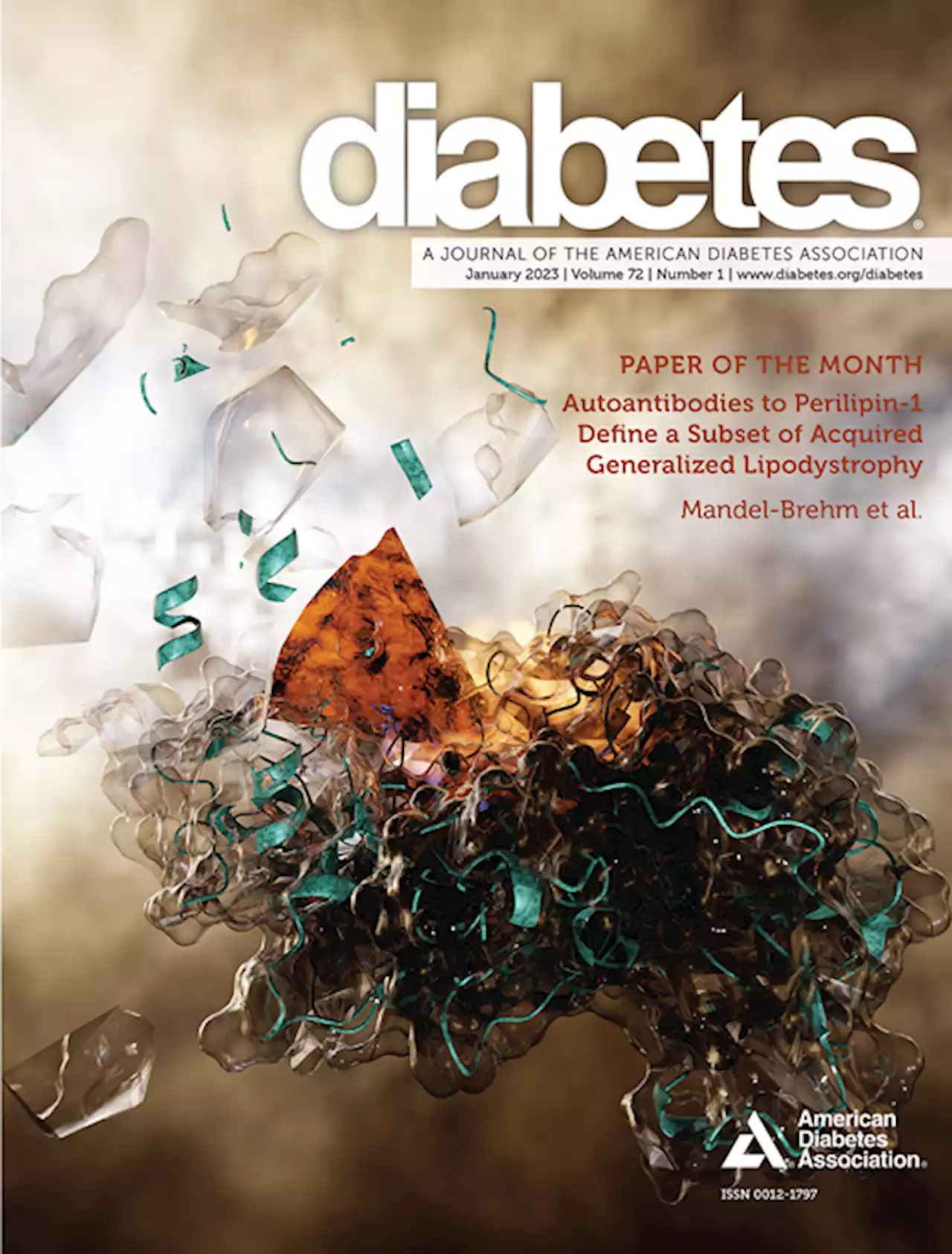 Antipsychotic Dopamine 2 Receptor Antagonist Diphenylbutylpiperidines Improve Glycemia in Experimental Obesity by Inhibiting Succinyl-CoA:3-Ketoacid CoA Transferase