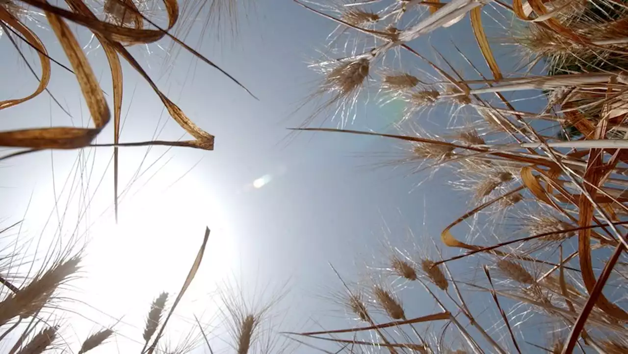 Météo : vent et soleil près de la Méditerranée, de la pluie partout ailleurs, les prévisions de ce vendredi 13 janvier