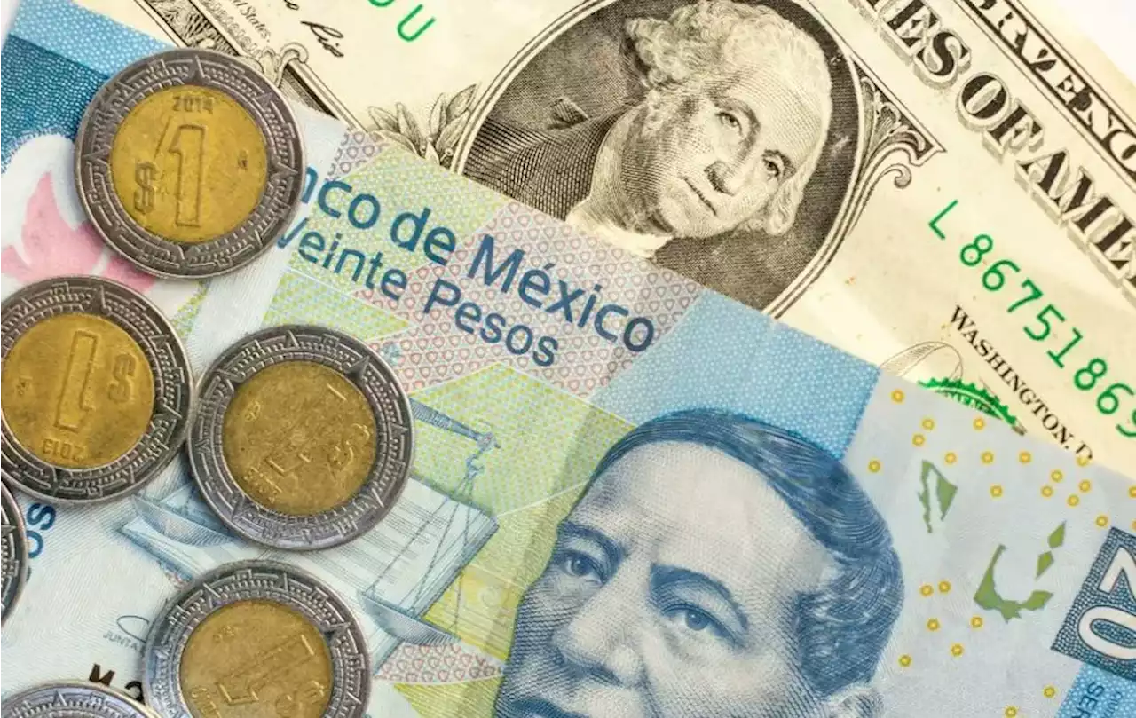 Precio del dólar al cierre hoy 12 de enero en México | Tipo de cambio