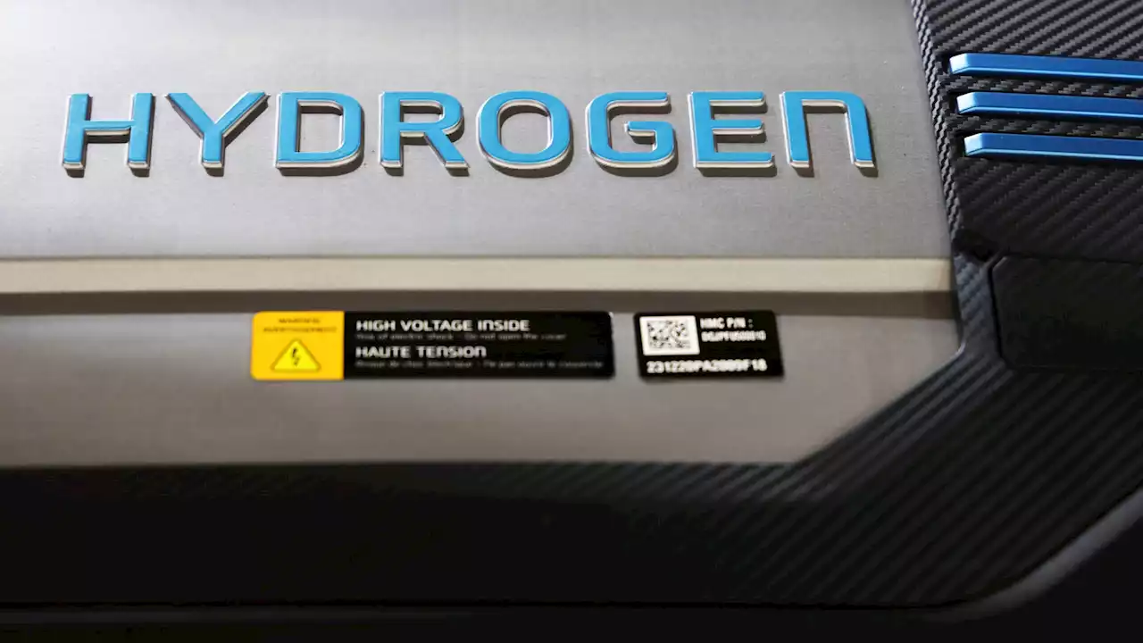 New Method Makes Hydrogen Fuel the Way Plants Do