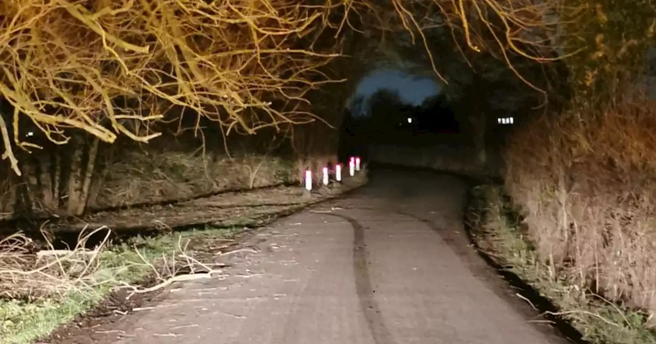 Notts road closed as high wind causes large tree to split