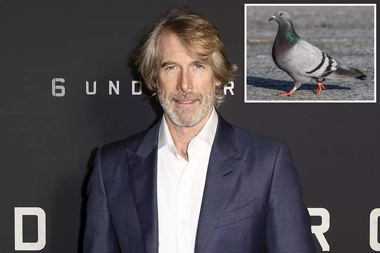 Michael Bay charged with killing pigeon in Italy — director denies claim